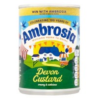 Ambrosia DEVON CUSTARD 400g - Best Before: 10/2025